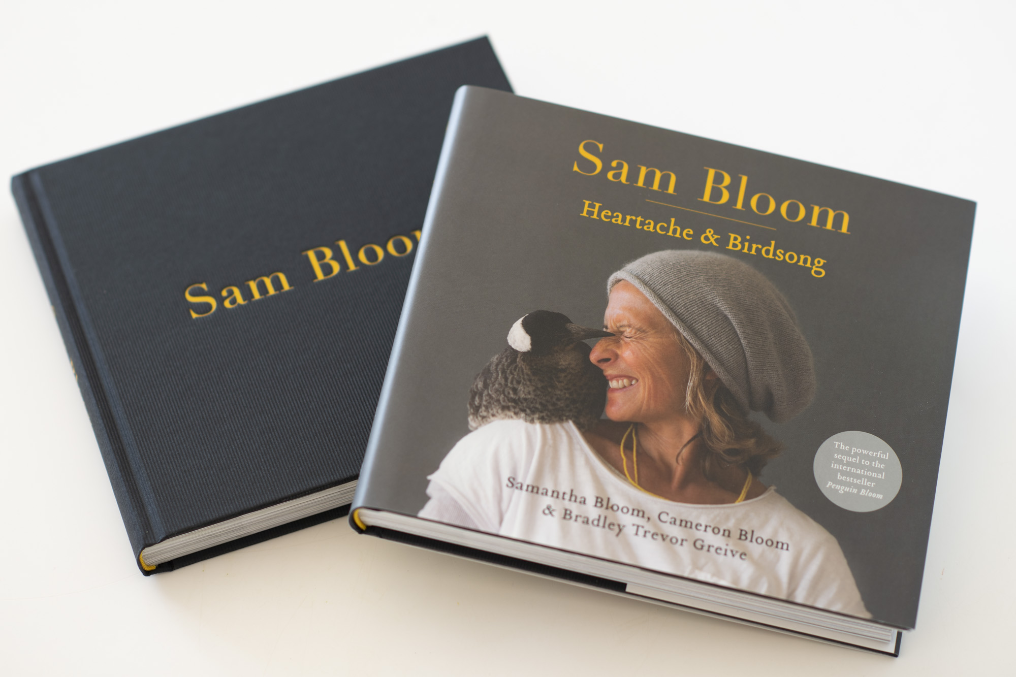 Sam Bloom: Heartache & Birdsong